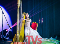 東莞演藝經(jīng)紀(jì)\交響樂團(tuán)\小提琴表演\手風(fēng)琴表演\豎琴表演